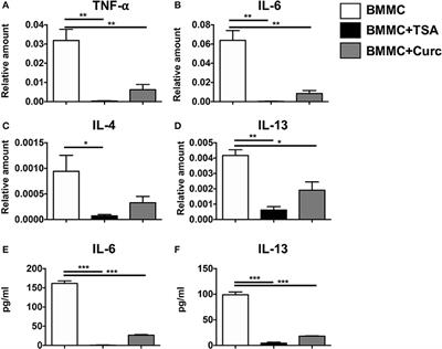 Epigenetic Regulation via Altered Histone Acetylation Results in Suppression of Mast Cell Function and Mast Cell-Mediated Food Allergic Responses